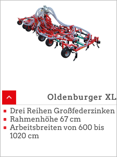Oldenburger XL